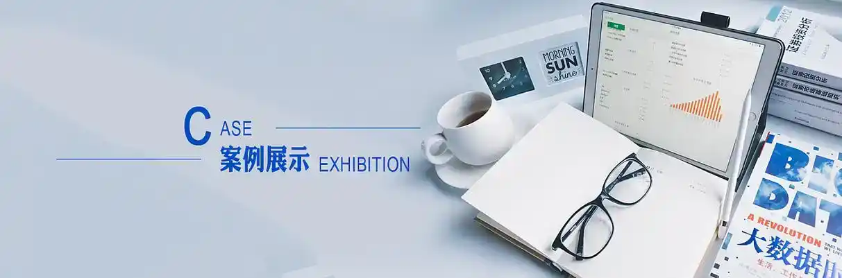 大英县软件开发
